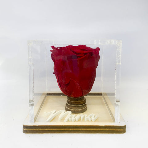 Caja de metacrilato + nombre personalizado