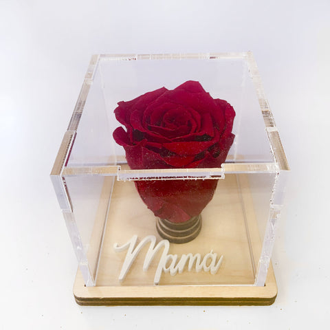 Caja de metacrilato + nombre personalizado